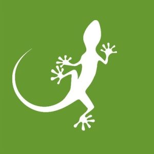 Imagen de Mongabay Latam