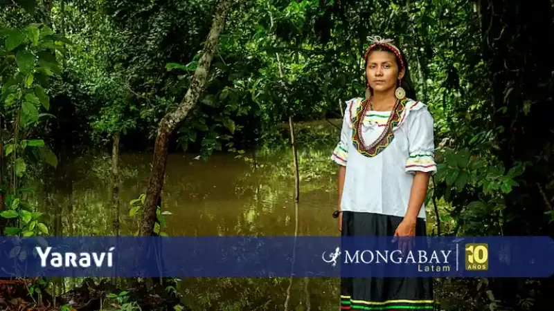 Avita Taricuarima - la bióloga kukama de la Amazonía peruana que devuelve el conocimiento científico a su comunidad - yaravi
