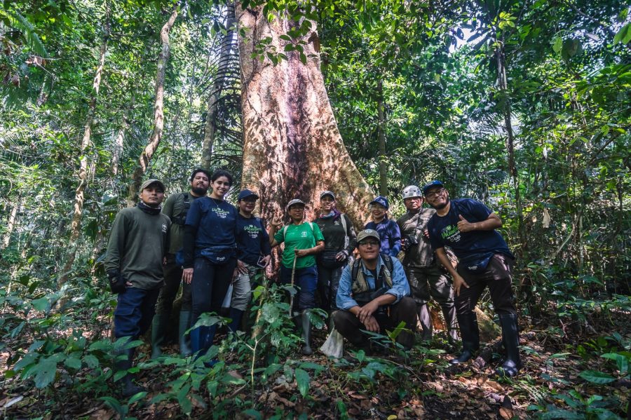 Caja Arequipa visitó las 39 hectáreas de bosque amazónico que protege junto a Arbio Perú en Madre de Dios