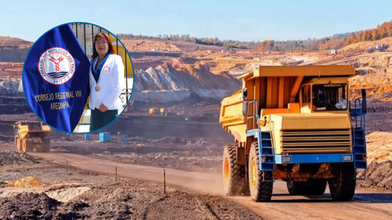 Diseño sin título (1)