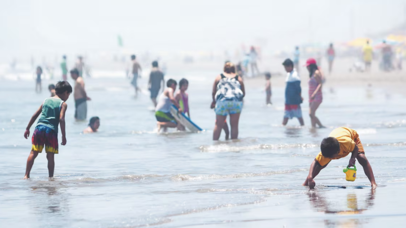 FOTO REFERENCIAL (1)