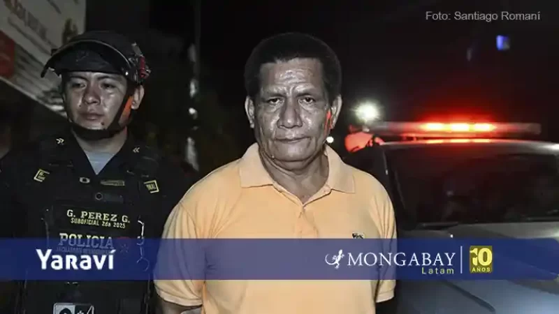 Hugo Soria Flores - detenido caso Saweto - Mongabay Latam - Yaraví
