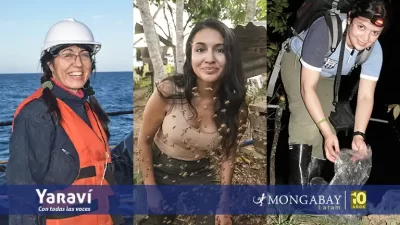 Investigadoras latinoamericanas se aventuran para conocer el mar, la selva y especies asombrosas