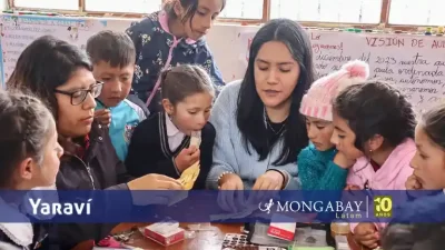 Paola Moreno-Roman - la científica apurimeña que lleva microscopios de papel a escuelas rurales de Perú - yaraví