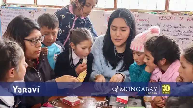 Paola Moreno-Roman - la científica apurimeña que lleva microscopios de papel a escuelas rurales de Perú - yaraví