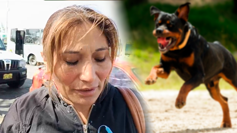 Piden apoyo para costear operación de menor que fue atacado por perro en Cerro Colorado