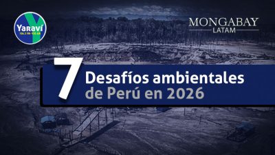 Siete desafíos ambientales - Radio Yaraví