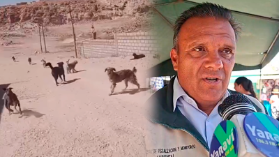 Sin título-1
