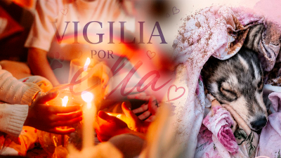 Sin título-1