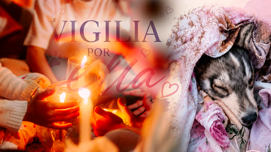 Sin título-1
