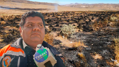 Sin título-1