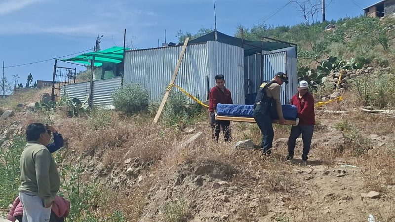 WhatsApp Image 2026-04-27 at 15.50.00