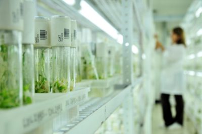 biotecnologia
