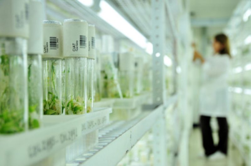 biotecnologia