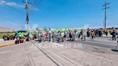 protecta tía maría